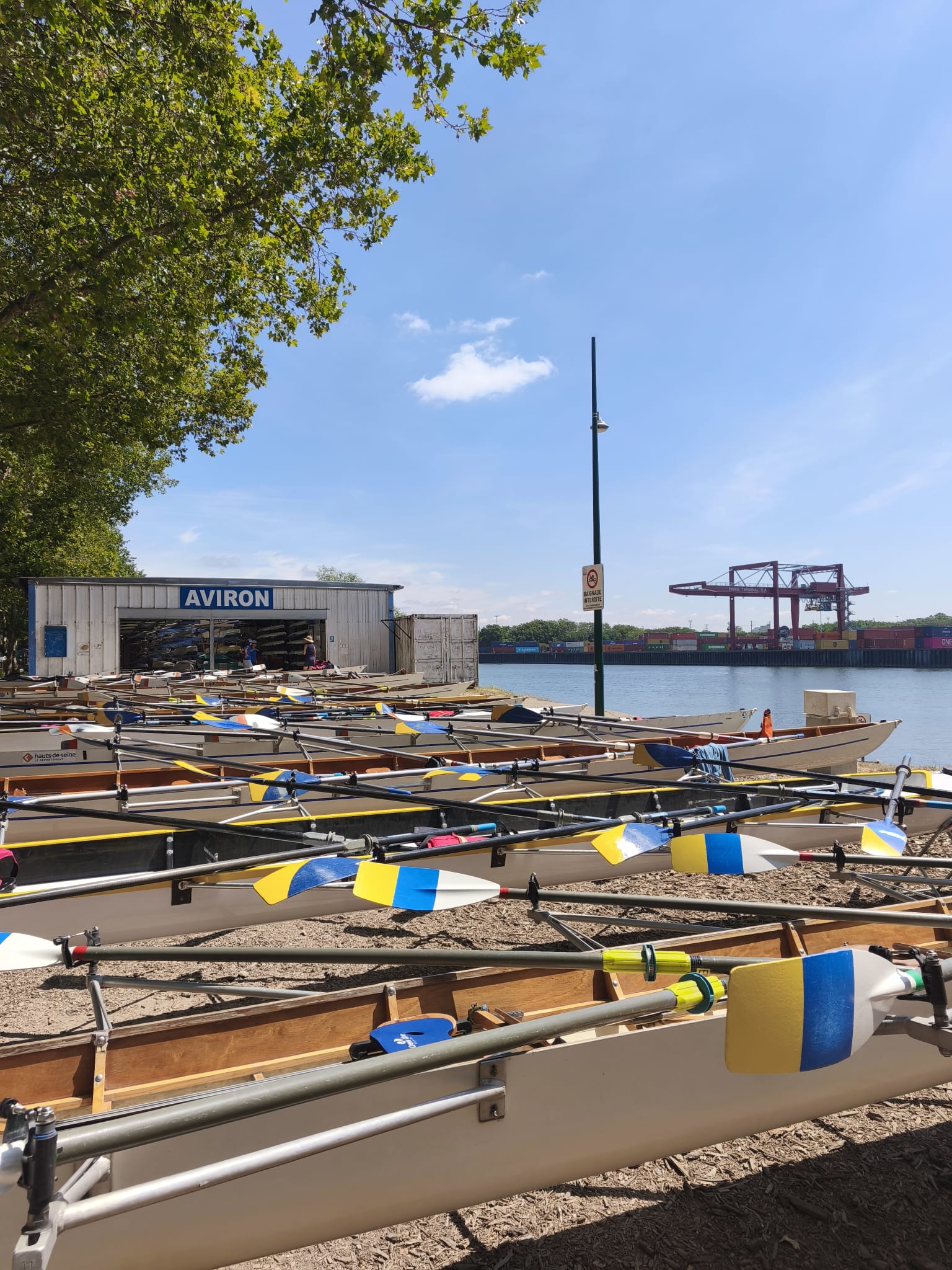 NL S En Seine mikado coma